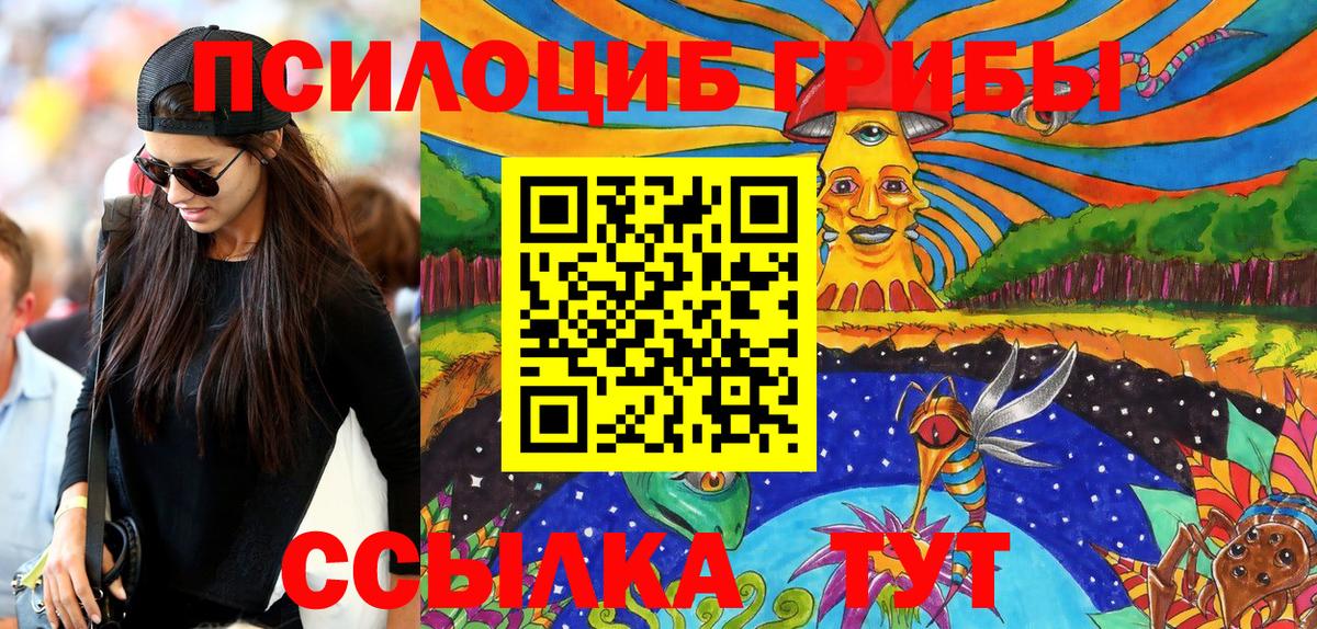 Галлюциногенные грибы Psilocybe  Вход с VPN  наркотики  Солнечногорск 